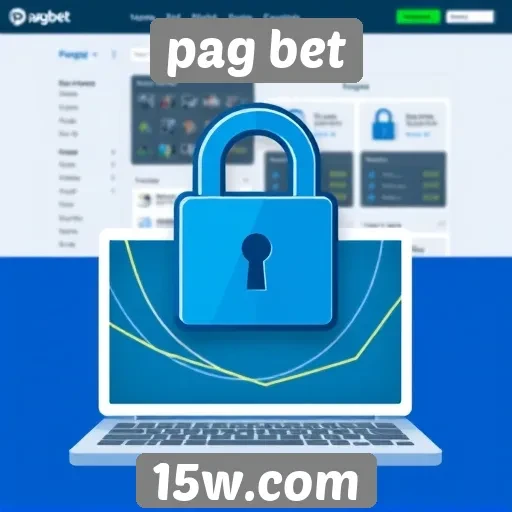 análise da segurança do site pag bet